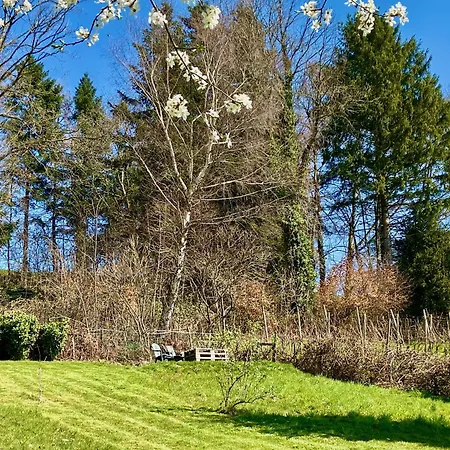 Apartman Weinberg Idyll 2 - Panoramablick Zum Bodensee Lindau