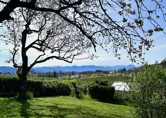 Weinberg Idyll 2 - Panoramablick Zum Bodensee Apartmán